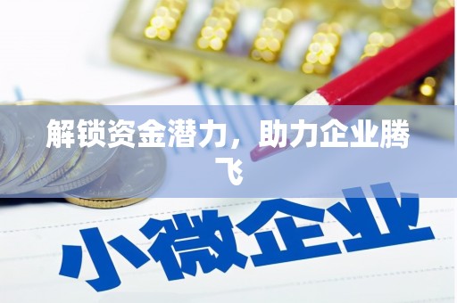 金乡解锁资金潜力，助力企业腾飞