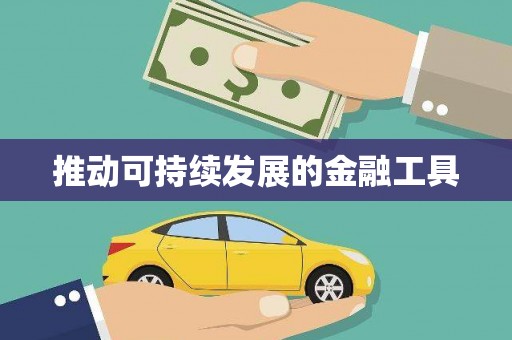 金乡推动可持续发展的金融工具