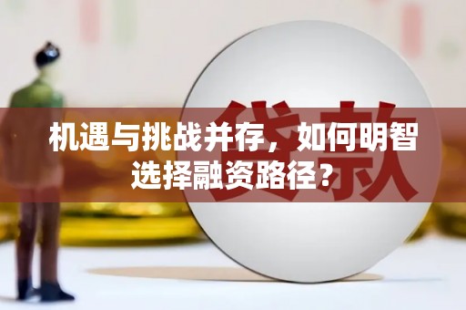 金乡机遇与挑战并存，如何明智选择融资路径？
