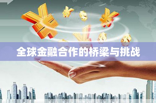 金乡全球金融合作的桥梁与挑战