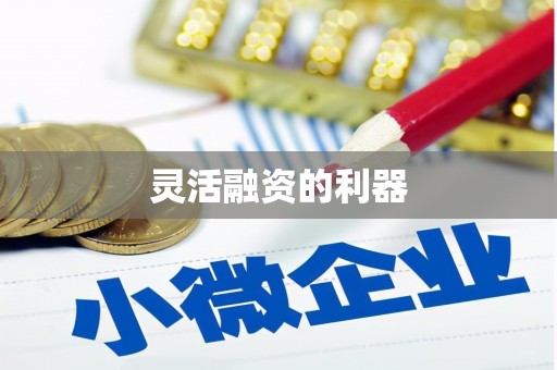 金乡灵活融资的利器