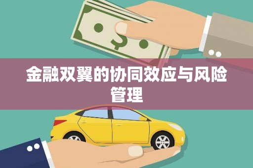 金乡金融双翼的协同效应与风险管理