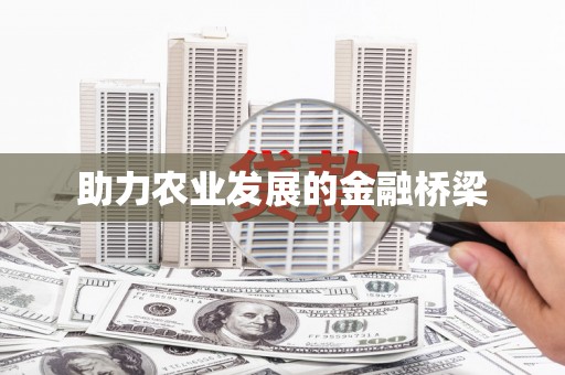 金乡助力农业发展的金融桥梁