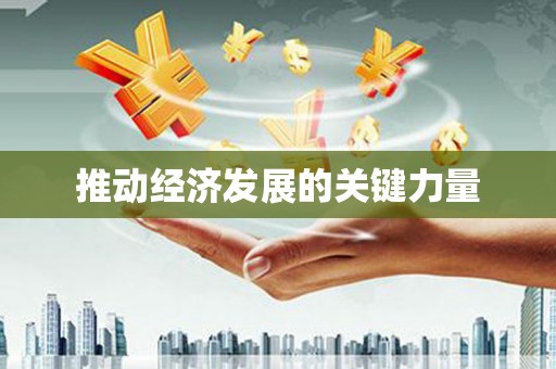 金乡推动经济发展的关键力量