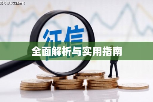 金乡全面解析与实用指南