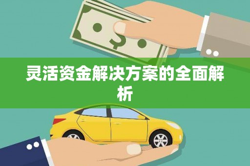 金乡灵活资金解决方案的全面解析