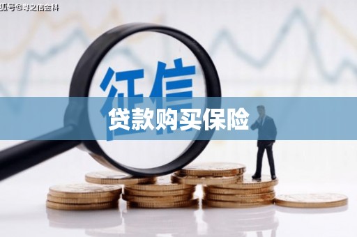 金乡贷款购买保险