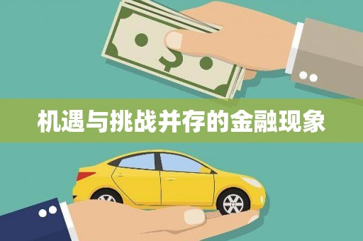 金乡机遇与挑战并存的金融现象