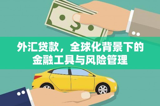 金乡外汇贷款，全球化背景下的金融工具与风险管理