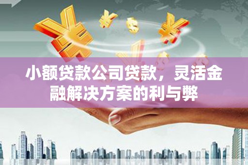 金乡小额贷款公司贷款，灵活金融解决方案的利与弊