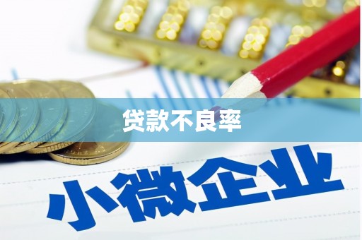 金乡贷款不良率