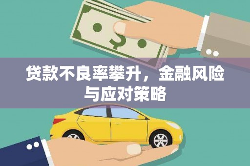 金乡贷款不良率攀升，金融风险与应对策略