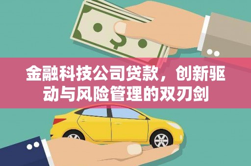 金乡金融科技公司贷款，创新驱动与风险管理的双刃剑